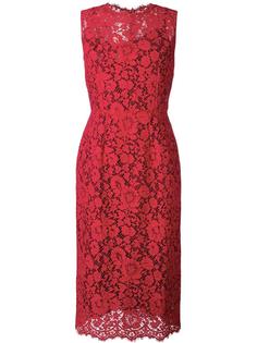 кружевное приталенное платье с цветочным узором Dolce &amp; Gabbana