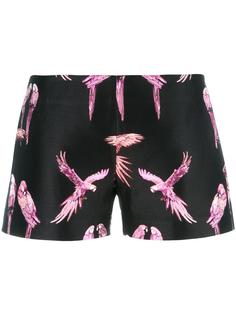 parrot jacquard shorts Giamba