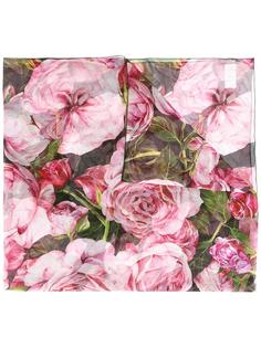rose print scarf Dolce & Gabbana
