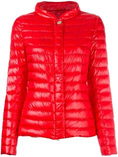 high neck buttoned jacket Herno