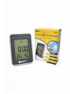 Термометры электронные Garin