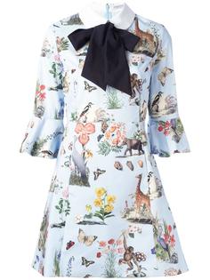 Astore dress Vivetta