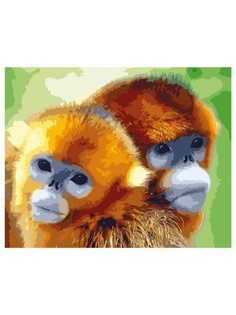 Картины Menglei