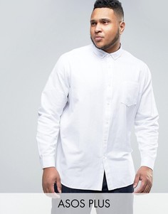 Белая оксфордская рубашка классического кроя ASOS PLUS - Белый