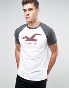 Белая футболка с логотипом Hollister - Белый