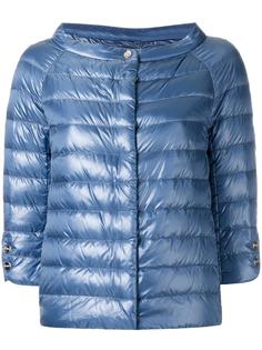 collarless puffer jacket Herno