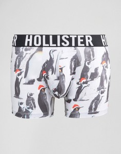 Рождественские боксеры-брифы с пингвинами Hollister - Белый