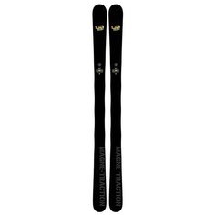 Горные лыжи Lib Tech Nas Backwards 166 2pk Assorted