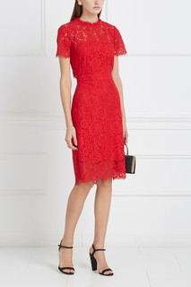 Кружевное платье Alma Diane von Furstenberg