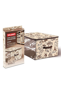 Кофр для хранения 60х50х35 см Valiant
