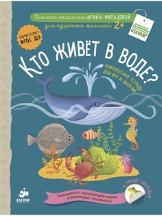 Книги Издательство CLEVER