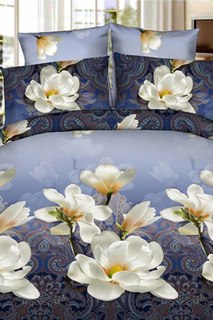 Постельное белье 1,5 сп 70х70 Patrizia