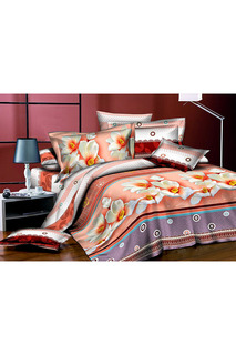 Постельное белье 1,5 сп. 70x70 BegAl
