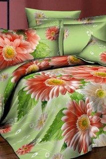 Постельное бельё 2 сп, 70х70 BegAl