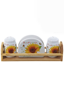 Специи 22,5х6,5х8,5 см ENS