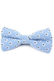 Галстук бабочка Churchill accessories