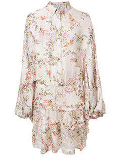 ruffle trim shirt dress  Alexis
