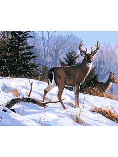 Наборы для рисования Menglei