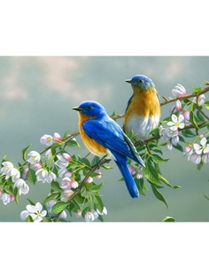 Наборы для рисования Menglei