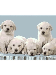 Наборы для рисования Menglei