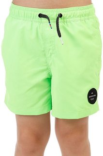 Шорты пляжные детские Quiksilver Everydaysolvy13 Green Gecko