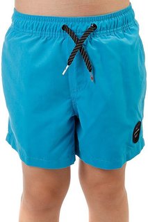 Шорты пляжные детские Quiksilver Everydaysolvy13 Blue Danube