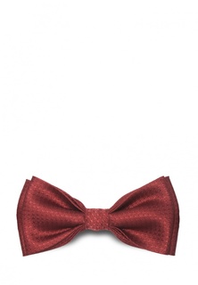 Бабочка Stefano Danotelli