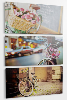 Панно "Велосипед", 3пр. Pannorama