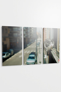 Панно "Кот в городе", 3пр. Pannorama