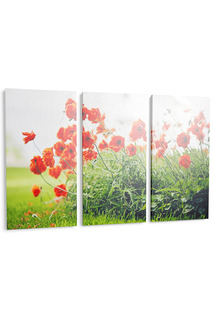 Панно "Маки" Pannorama