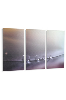 Панно "Макро" Pannorama