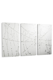 Панно "Капли на паутинке" Pannorama