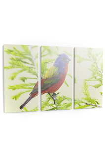 Панно "Яркая птичка" Pannorama