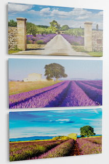 Панно "Лавандовые поля", 3пр. Pannorama