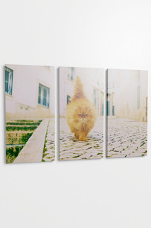 Панно "Рыжий кот", 3пр. Pannorama