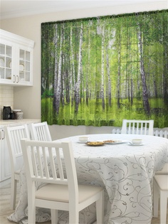 Фотошторы ZLATA KORUNKA