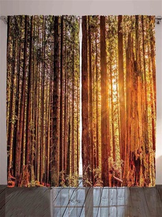 Фотошторы Magic Lady