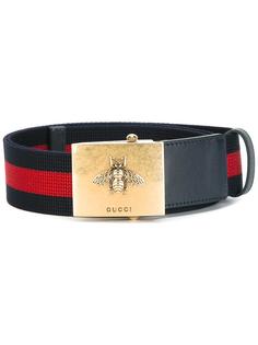 ремень Web с пчелой на пряжке Gucci