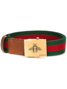 ремень с полоской Web Gucci