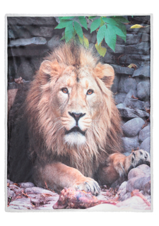 Плед MARGARET PICKENS