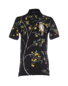Поло Dolce & Gabbana