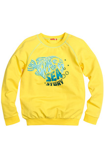 Джемпер Pelican