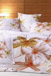 Постельное белье 2 сп 70x70 BegAl