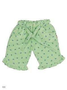 Шорты Babycollection