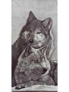 Полотенца банные A and C Collection