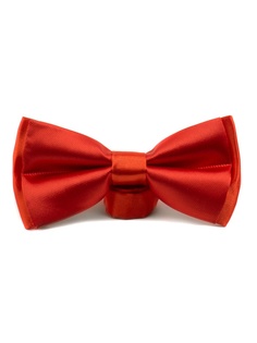 Бабочки Pierre Lauren