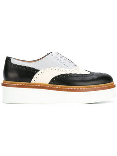 классические броги Tods Tod`S