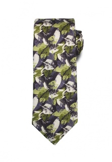 Галстук Stefano Danotelli