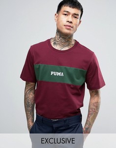 Бордовая футболка со вставкой Puma 57531102 эксклюзивно для ASOS - Красный