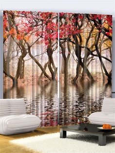 Фотошторы Magic Lady